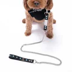 Unisex Ripndip Lord Nermal Studded Pet Leash