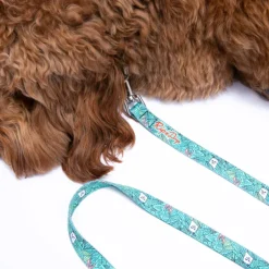 Unisex Ripndip Nermal Leaf Pet Leash